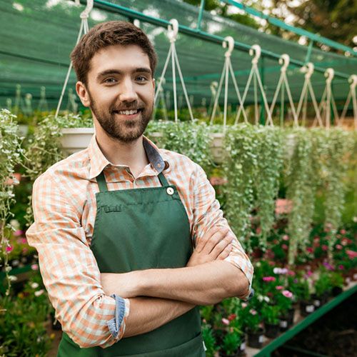 Odoo-Bild- und -Textbaustein