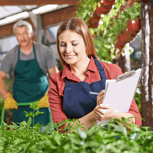 Odoo-Bild- und -Textbaustein