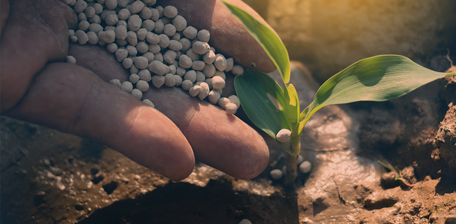 Bundle 2: Innovative Themen